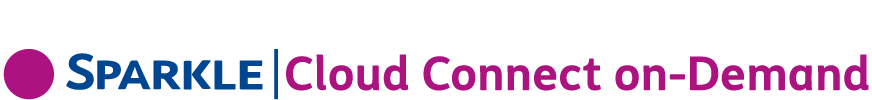 Cloud Connect on-demand